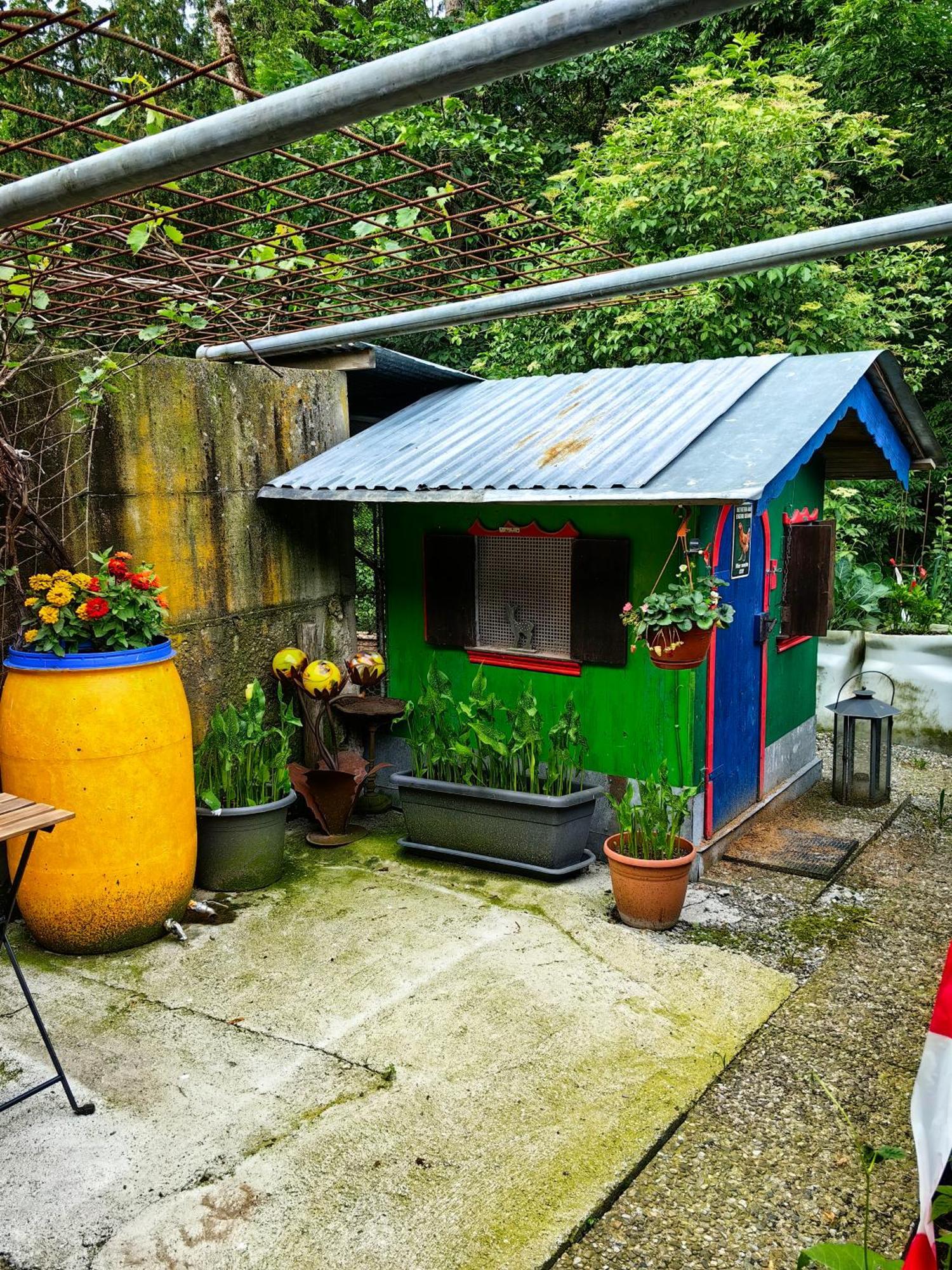 Ferienwohnung Voegelhof Doren Exterior foto