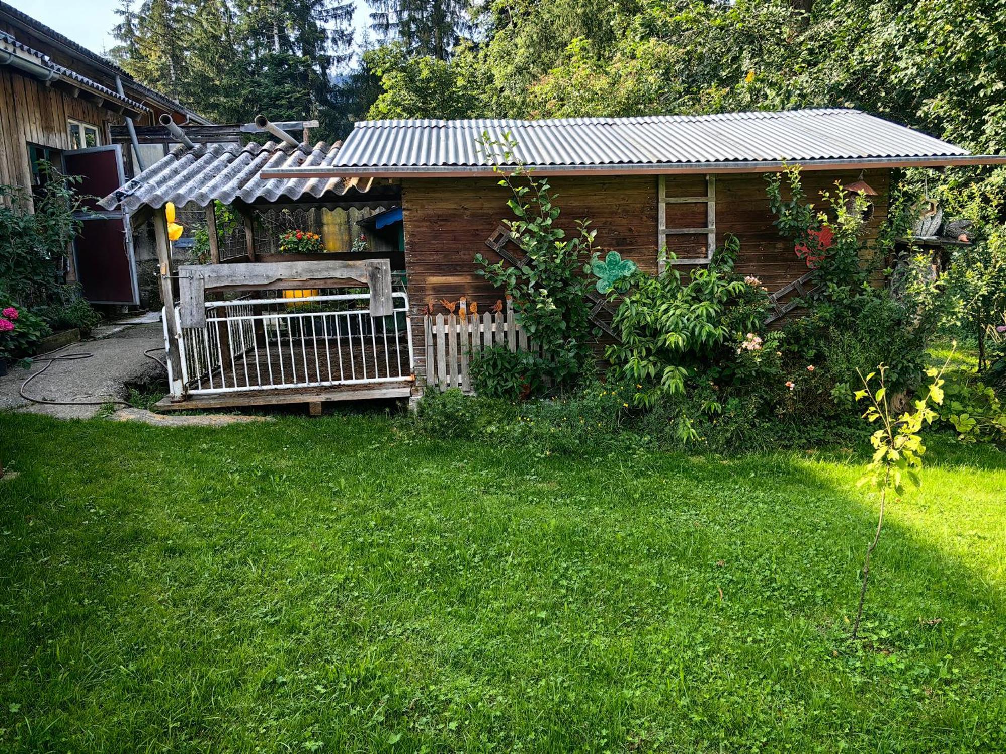 Ferienwohnung Voegelhof Doren Exterior foto
