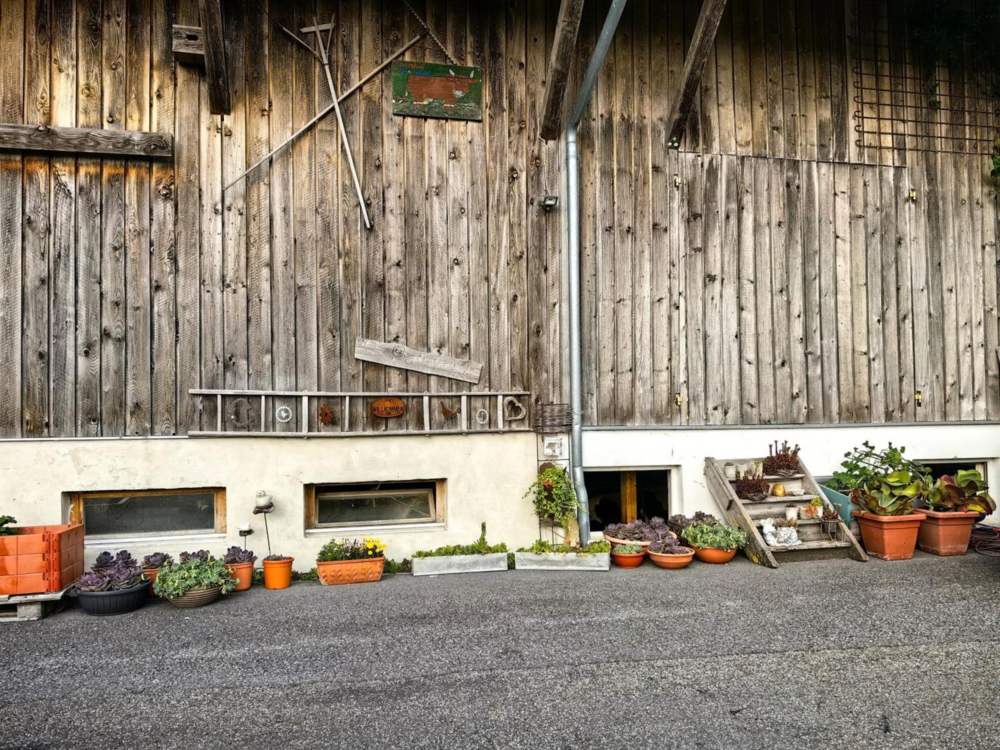 Ferienwohnung Voegelhof Doren Exterior foto