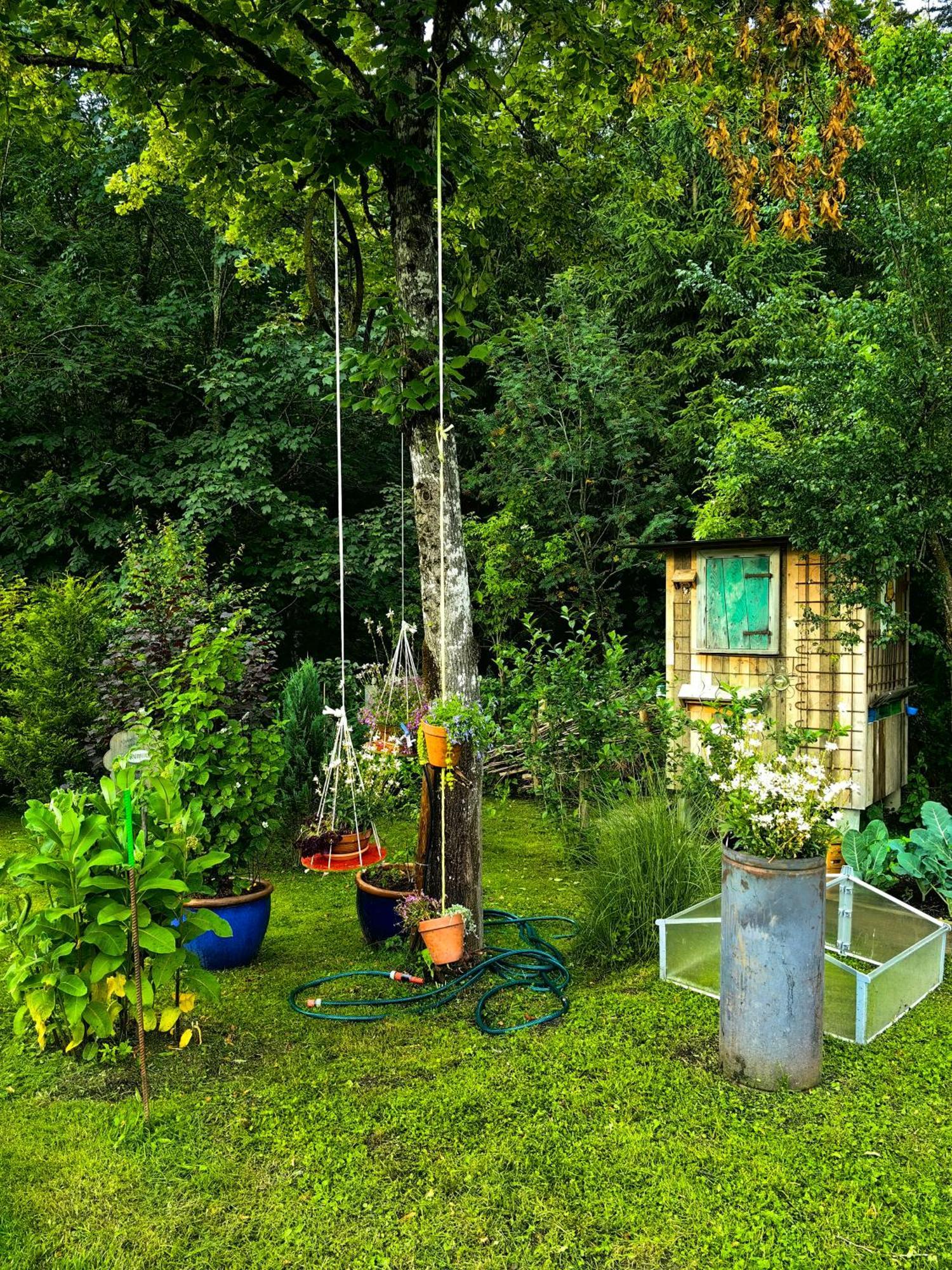 Ferienwohnung Voegelhof Doren Exterior foto