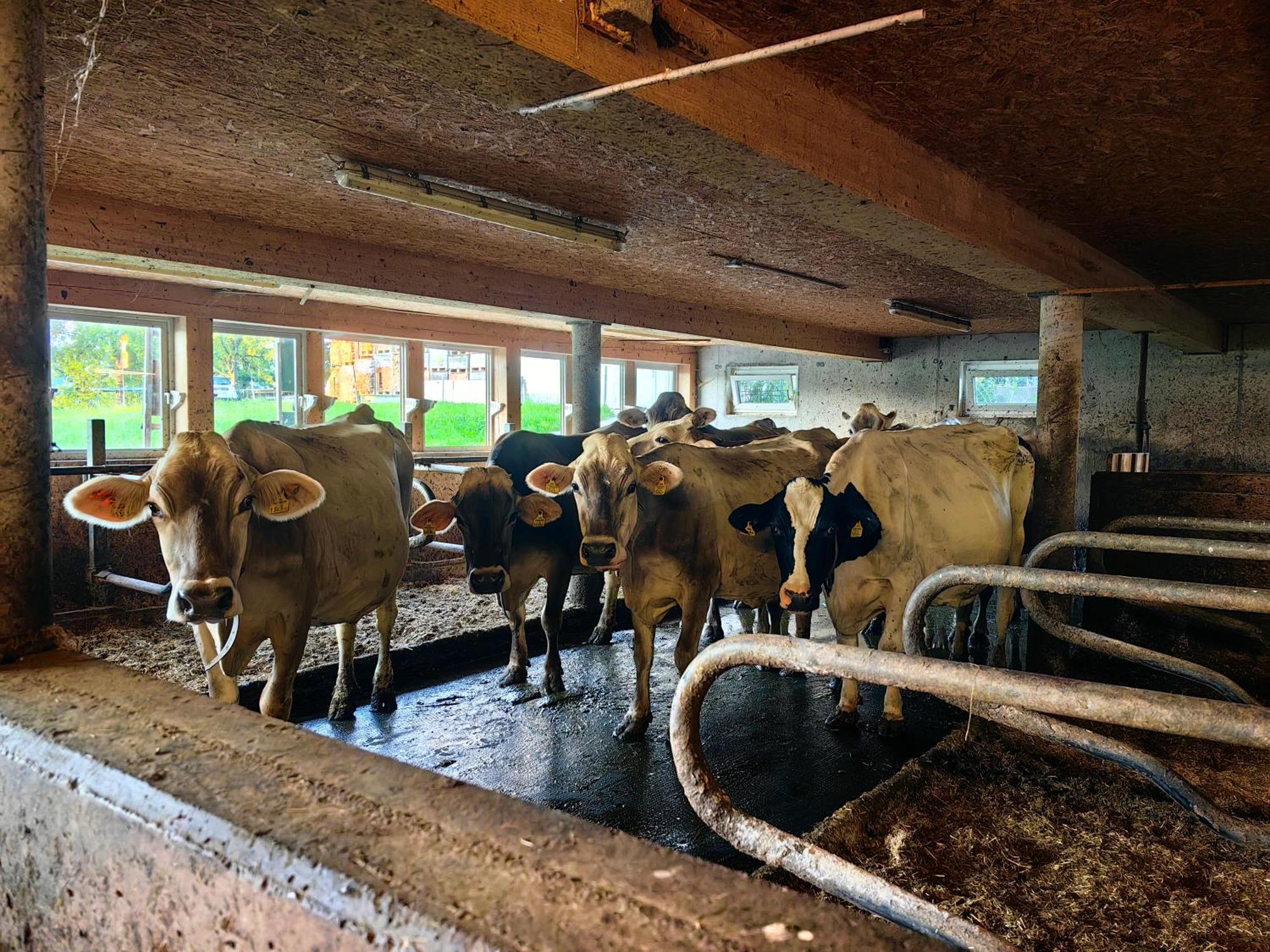 Ferienwohnung Voegelhof Doren Exterior foto